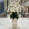 Bình lan hồ điệp trắng trang trí đại sảnh HL1041