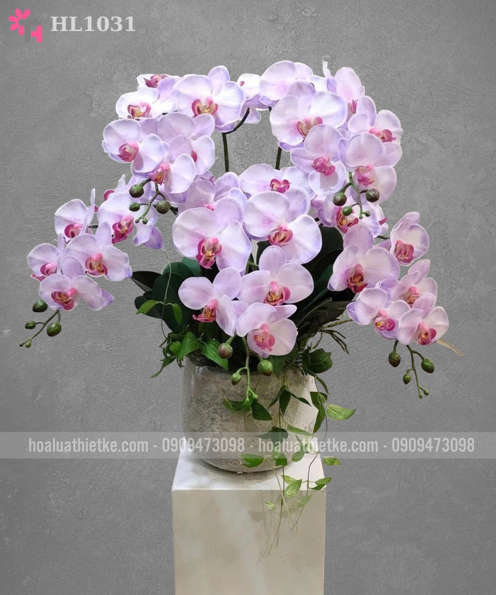 Chậu lan hồ điệp giả hồng tím nhạt HL1031