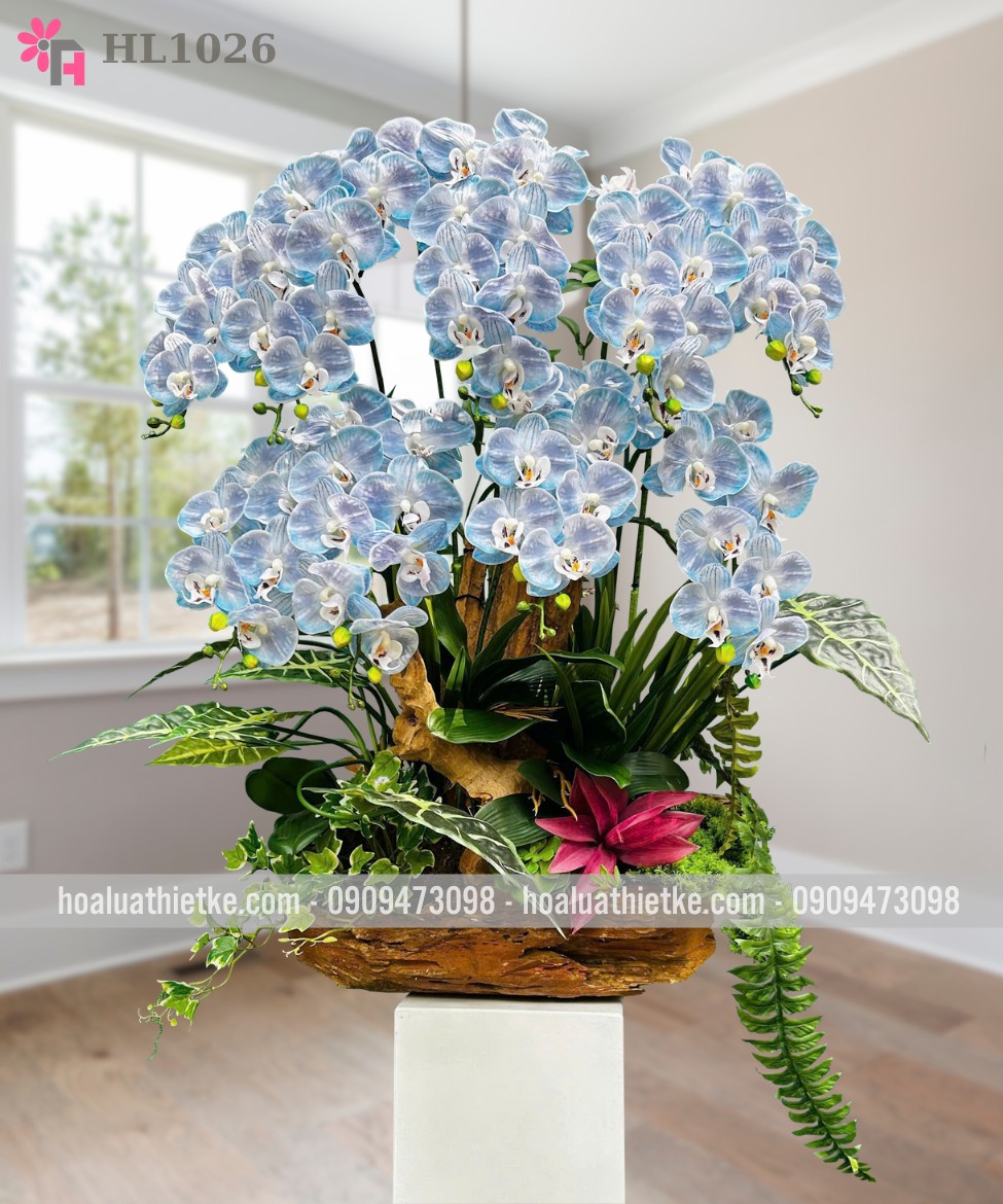 Chậu lan hồ điệp giả tông xanh thanh lịch HL1026