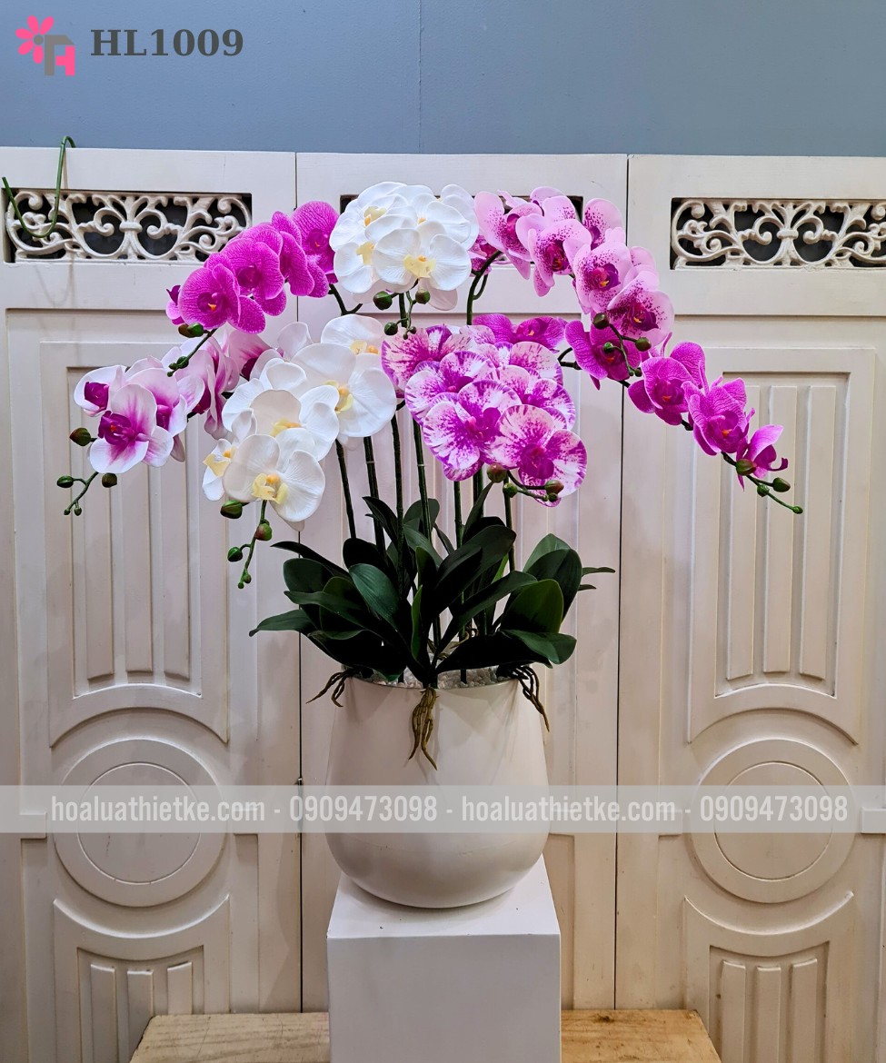 Chậu lan hồ điệp trắng tím 7 cành HL1009