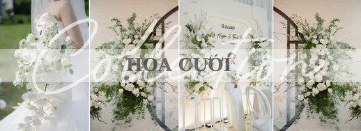 Hoa cưới collection
