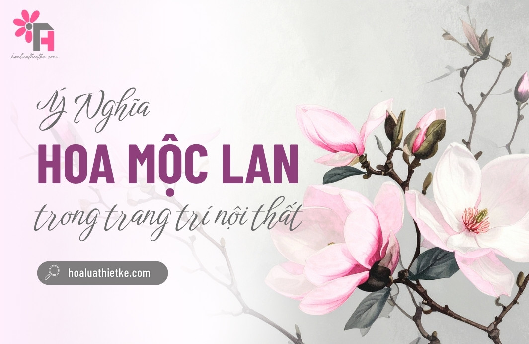 Ý nghĩa hoa mộc lan trong trang trí nội thất theo phong thủy